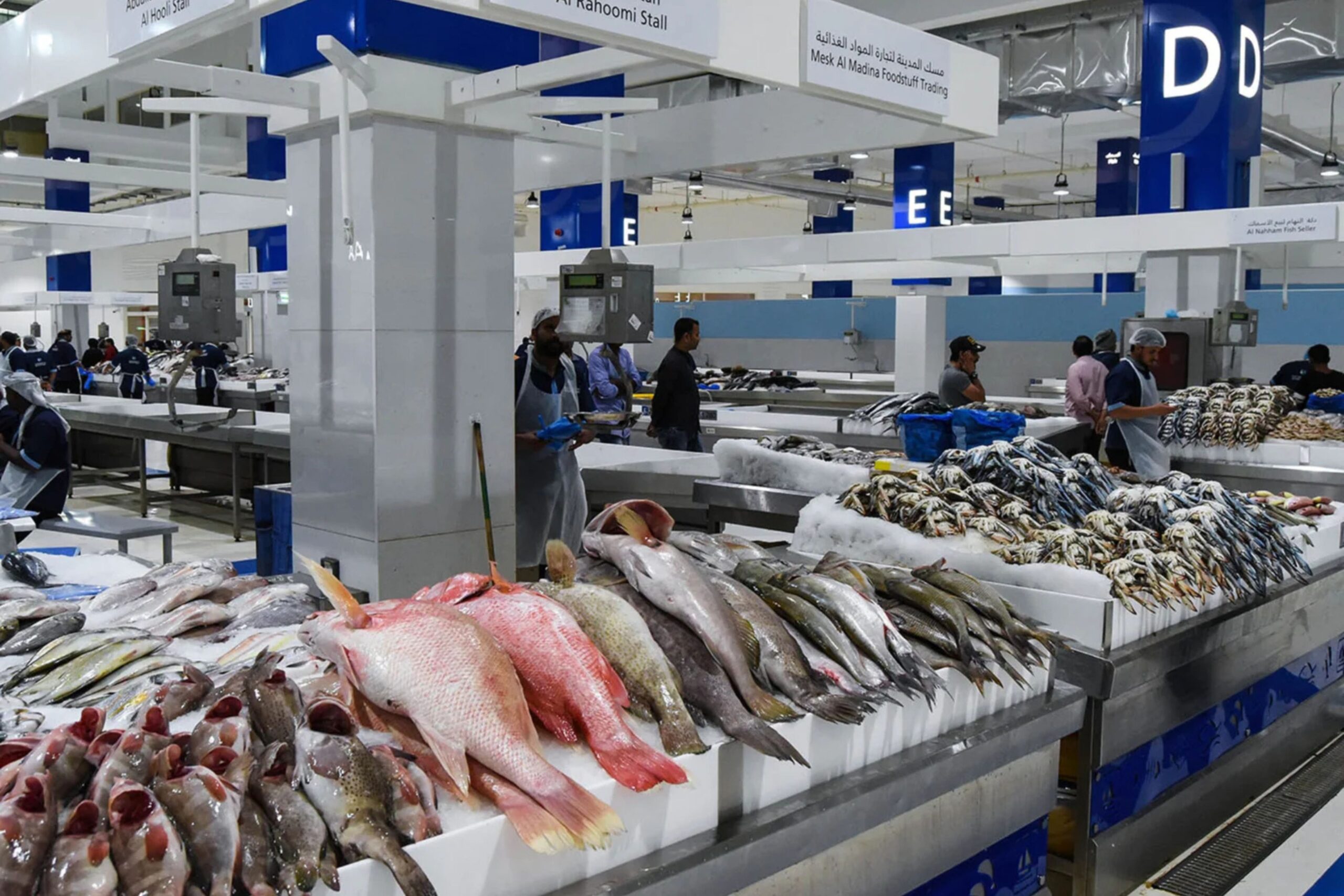DUBAIwebzine Dubais Seafood Scene Sustainable Fish Market